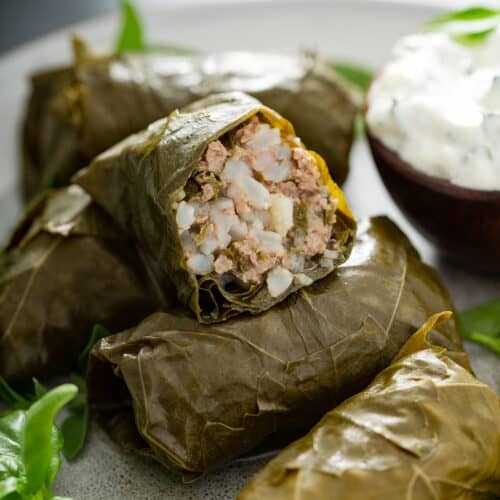 Grape Leaves